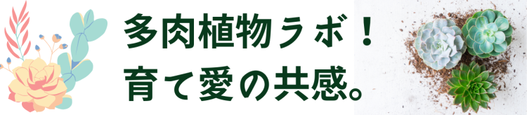 多肉植物ラボ！育て愛の共感。